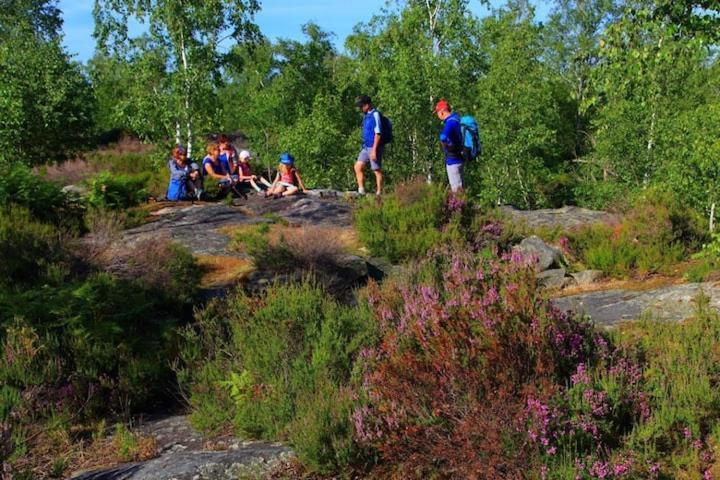 Camping Marvilla Parks -Parc Des Roches 91530 Saint-Chéron 외부 사진
